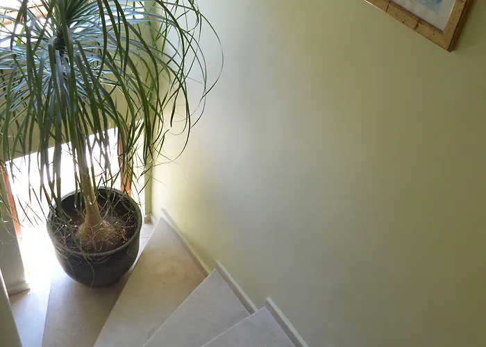 станкоф Хотел 3*